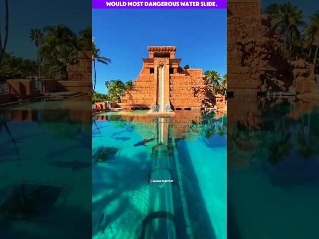 "world_most_dangerous_water_slide!.#water slide_#ytshorts_ #viral_