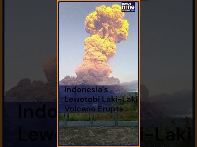 Indonesia's Lewotobi Laki-Laki Volcano Erupts, Spews 11km High Ash Plume | News9