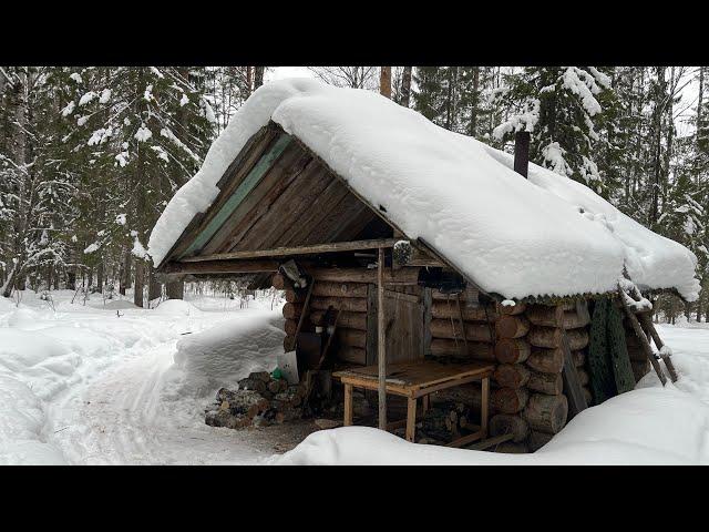 УЖАС. НАШЁЛ ЗАСРАНУЮ ИЗБУ И БАЛОК В ТАЙГЕ.
