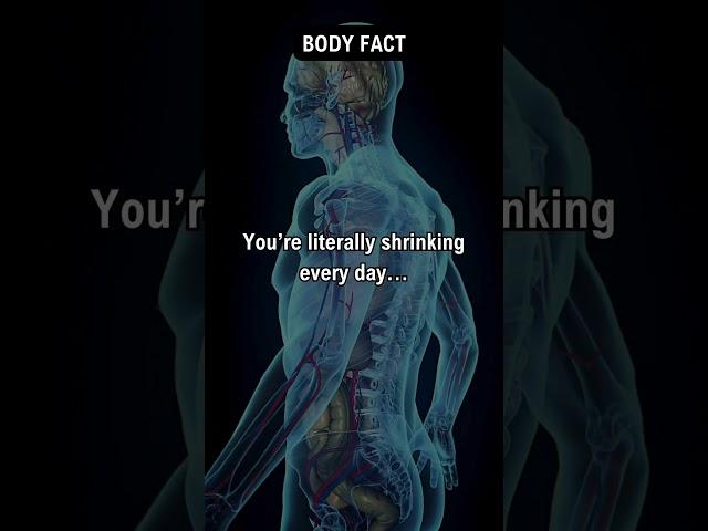 This fact about your body is crazy | The Facts Archive