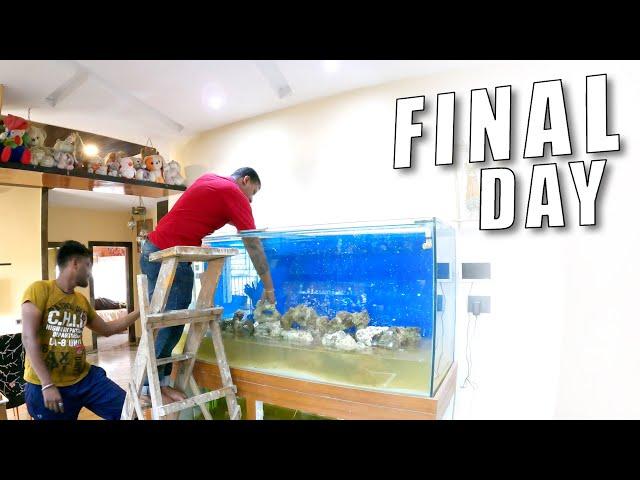 6 FEET MARINE SET UP [the final day] | SEASCAPES | marine aquarium