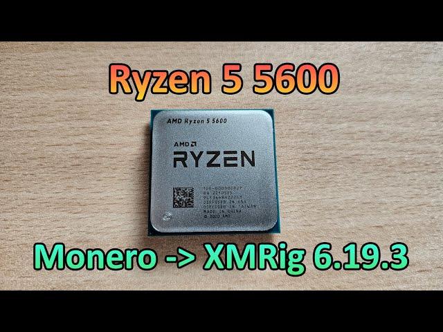 AMD Ryzen 5 5600 - Monero Hashrate & Profit (XMRig 6.19.3)