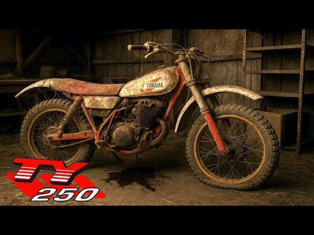 Restoration Of An Abandoned Yamaha TY 250 - Genuine Barn Find!