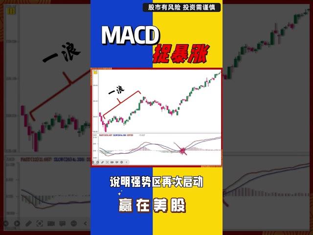 股票|美股|MACD|学会MACD，让你稳抓暴涨，实现财富自由#shorts