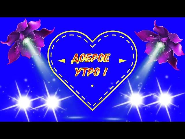 Доброе утро !