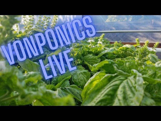 Vonponics live Q and A