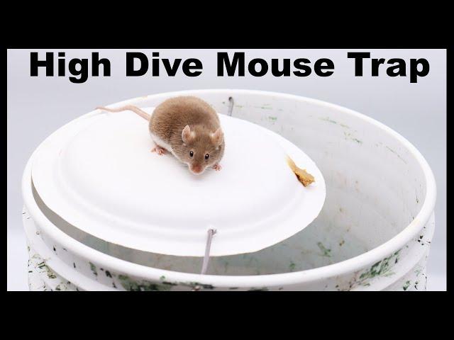 The High Dive Paper Plate DIY Mouse Trap. Mousetrap Monday