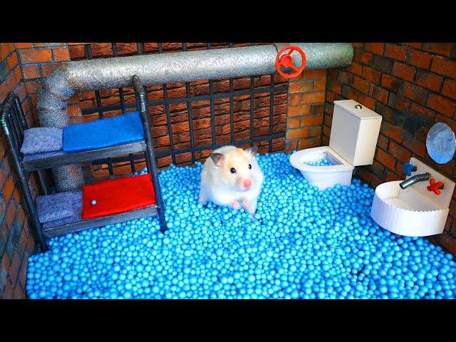 Hamster Maze - Great Escape