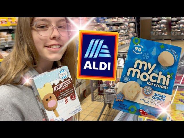 Yes Please!!!    Weekly ALDI Grocery Haul December 2024