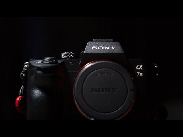 I'm Switching from Canon to Sony | Here's Why