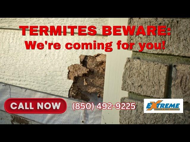 Pensacola Pest Control For Termites | WDO Inspection