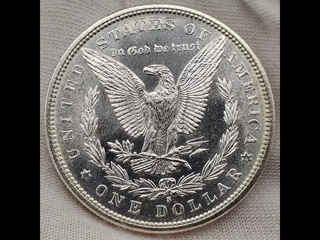 Spending $1000 on Morgan Silver Dollars at my Local Coin Shop.   Showing what I got.  Part 2 #morgan