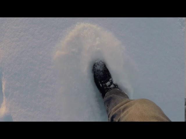 Walking in a Snow Forest - 1 Hour of Crunching Snow Sounds - Footsteps in a Snow for Relaxing