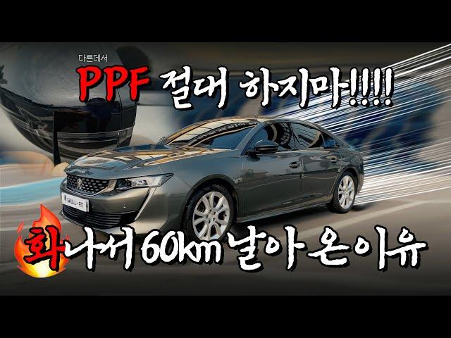 PPF 절대 하지마세요 (다른데서) | 업체 이름 밝히고 싶을 정도로 참담한.... 타업체에서 시공 받고 열받아서 달려오셨습니다 | 푸조508