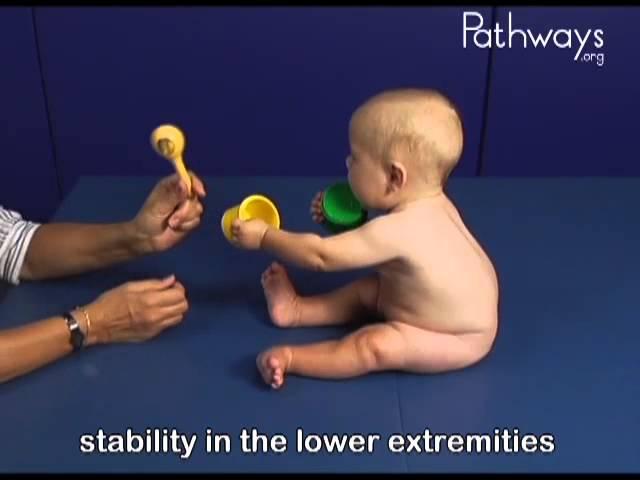 6 month Old Baby Typical and Atypical Development