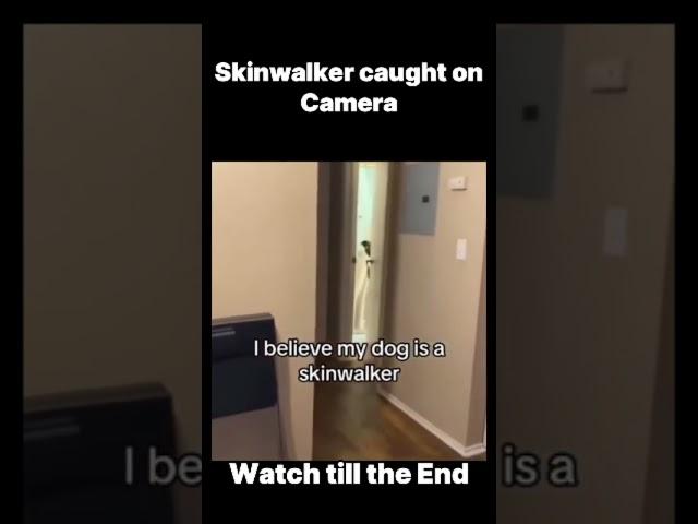 Skinwalkers Caught on Camera part-3 #scary #haunted #viralshorts #trendingshorts #viral