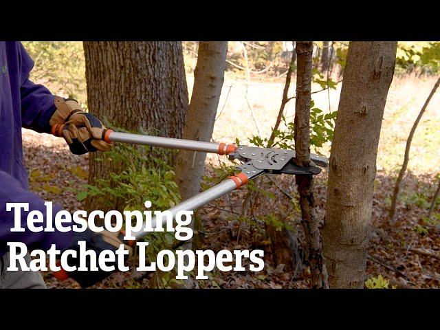 Telescoping Ratchet Loppers