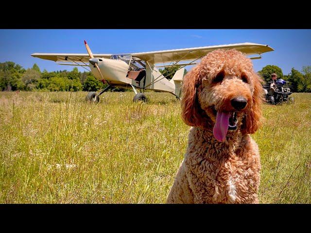 SKETCHY landing in the AVID FLYER! STOL airplane adventures!