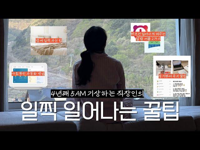 이래도 안 일어나? ⏰ 미라클모닝 4년차의 일찍 일어나는 꿀팁 6가지 | 아이템 소개, 알람 추천, 루틴 자동화, 잠 깨는 방법