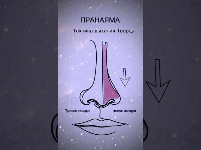 Занятия по йоге на канале #йога #пранаяма
