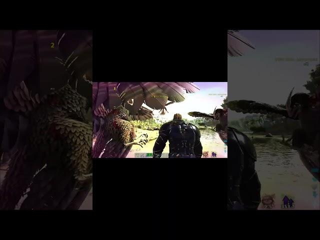 It's A Whole Pack Of Them | ARK: Survival Evolved