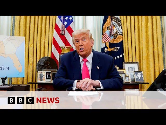 US President Donald Trump pauses some Canada and Mexico tariffs until next month | BBC News