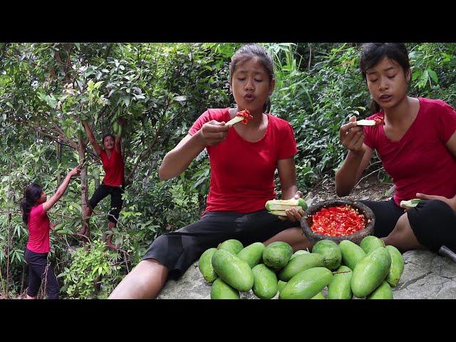 Today you will watering mouth with green mango and hot salt pepper - My Natural Food ep 63