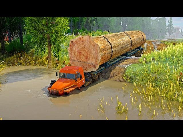 Logging Experts Share Their TOP Heavy Haul Tips!