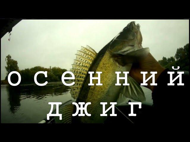 Осенние трофеи. И радость и печаль. #рыбалка #джиг #судак