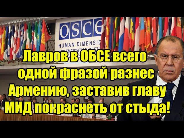 Лавров в ОБСЕ всего одной фразой разнес Армению, заставив главу МИД покраснеть от стыда!