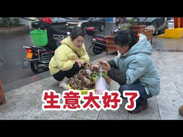 媳婦早上6點去擺攤，賣折耳根，結果生意太好，半個小時全部賣完了，旁人都羨慕【婷妹要努力】