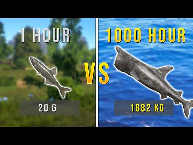 Russian Fishing 4 - 1 Hour VS 2.000 Hour Account #rf4 #russianfishing4