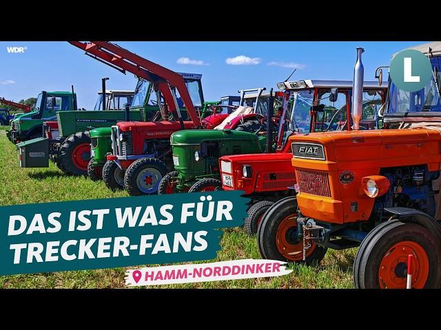 Fest der Ackergiganten: Unterwegs auf dem Oldtimer-Treff | WDR Lokalzeit Land.Schafft.