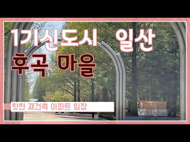 1기신도시  일산 후곡마을