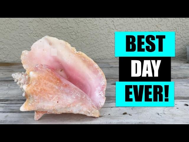 Diving For Shells: The Ocean's Hidden Treasures!