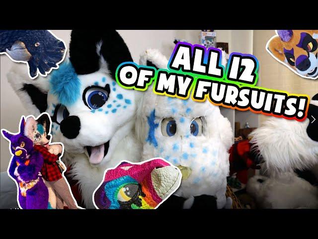 All of my personal fursuits!!