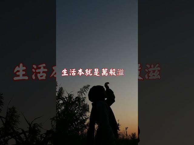 有人曾問：何為人生？ | 佛誠 心靈探索 #shorts #佛誠 #人生