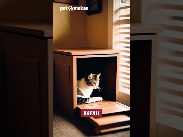 Kapalı kedi Tuvalet Faydaları