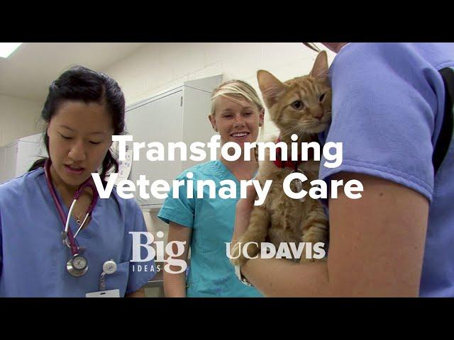 Transforming Veterinary Care: UC Davis Big Ideas