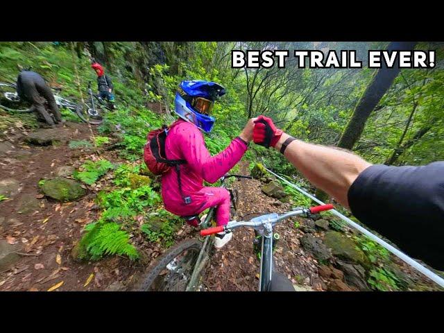 The Trail Every Mountain Biker Dreams of...