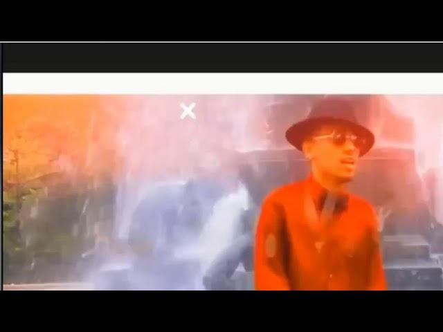 LDM Network Live Stream