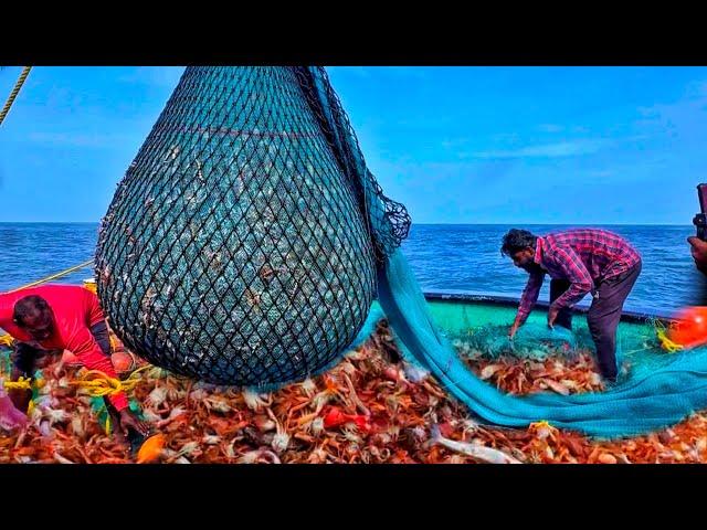 OMG! Record Fishing | CRAB FEAST 5 Tons Of Crabs Caught In One Epic Fishing Catch! Day-6|EP-6