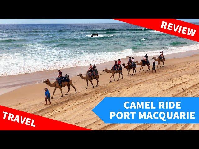 Port Macquarie Camel Ride Review - Things to do with Kids