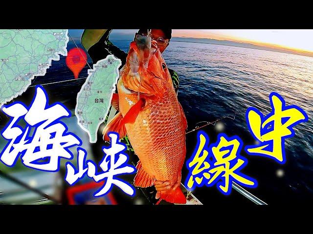 鮮少人去的海峽中線漁場！竟然魚那麼大隻！釣魚釣得荷包滿滿-穩勝166海釣船