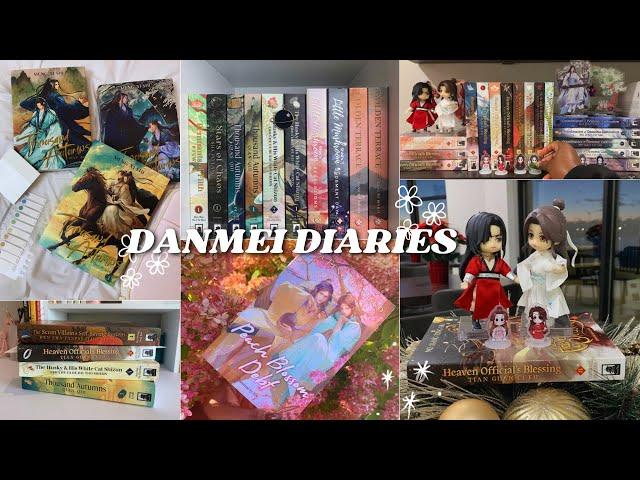 Danmei Diaries | 2024 TBR, recent reads, and collection goals 