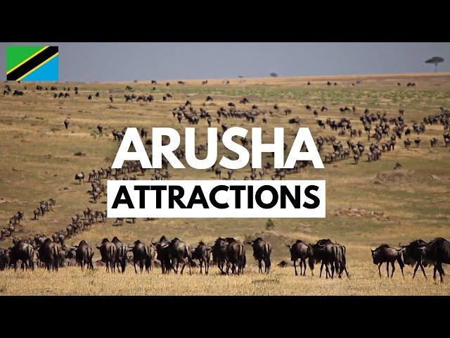 ARUSHA, Tanzania: A City of World-Class Attractions that You Must Visit!