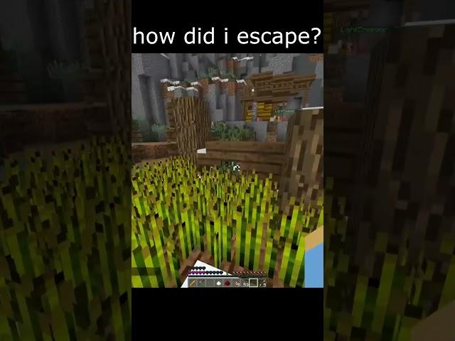 the best hide and seek player