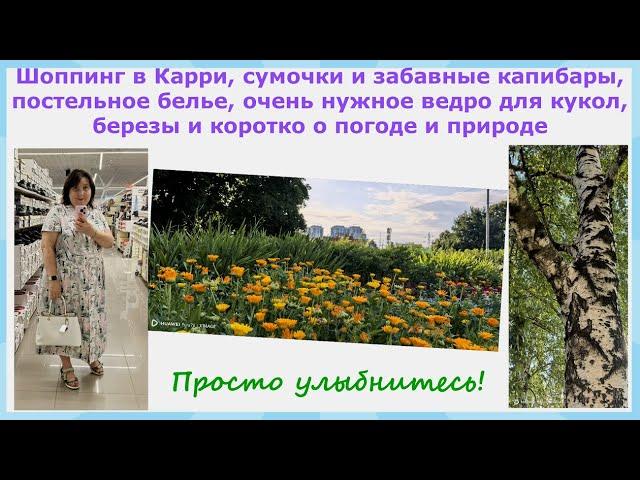 Шоппинг в Карри, сумочки и капибары, постельное белье и нужное ведро для кукол, березы и о погоде