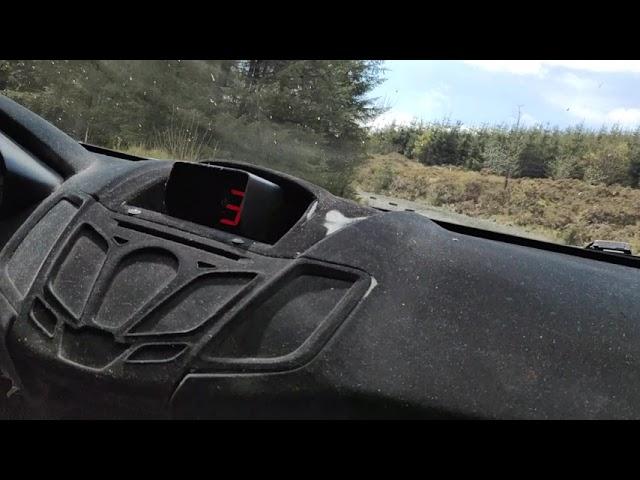 Forest Experience Rally School
