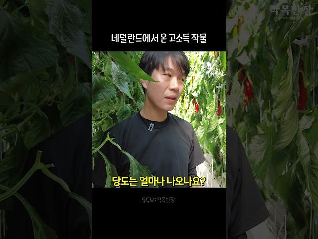 초보도 쉽게 키우는 고소득 작물